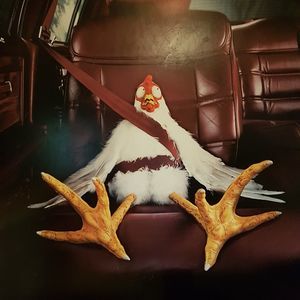 Meet your Posher, Rob